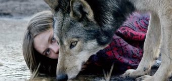 Wild ไวลด์