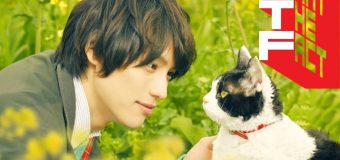 The Travelling Cat Chronicles ผม .แมว .และการเดินทางของเรา