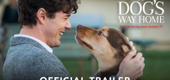 A Dog’s Way Home เพื่อนรักผจญภัยสี่ร้อยไมล์