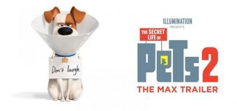 The Secret Life Of Pets 2 เรื่องลับแก๊งขนฟู 2