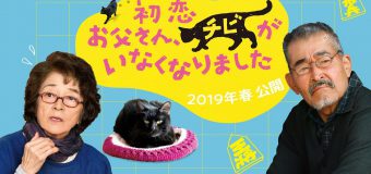 Hatsukoi Otosan, Chibi ga Inaku Narimashita เจ้าเหมียวจิบิหายไปไหนนะ?