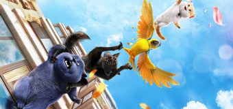 Cats ก๊วนเหมียวหง่าว