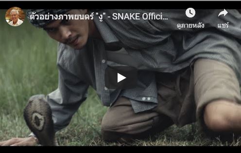 หนังเรื่อง งู Snake