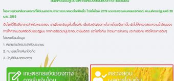 ธ.ก.ส. ตอบแล้ว ! ตรวจสอบเงินเยียวยาเกษตรกร ขึ้น “ไม่พบข้อมูล” หมายความว่าอย่างไร