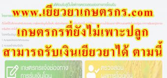 www.เยียวยาเกษตรกร. com เผย เกษตรกรที่ยังไม่เพาะปลูก สามารถรับเงินเยียวยาได้ ตามนี้