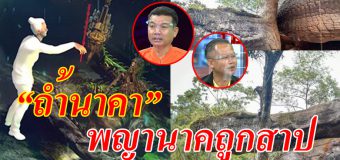 เปิดตำนาน “ถ้ำนาคา” แห่งภูลังกา จ.บึงกาฬ ลือเป็นพญานาคถูกสาปให้แข็ง