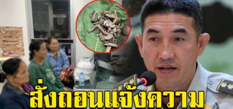 อธิบดีกรมป่าไม้ สั่งหัวหน้าสถานี ถอนแจ้งความชาวบ้านเก็บเห็ด