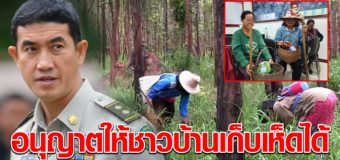 อธิบดีกรมป่าไม้ อนุญาต ให้ชาวบ้านเก็บเห็ดได้ ในช่วง Covid