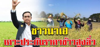 เกษตรกรเฮ เคาะแล้วราคาประกันข้าว ทุกชนิด หมื่นขึ้นต่อตัน