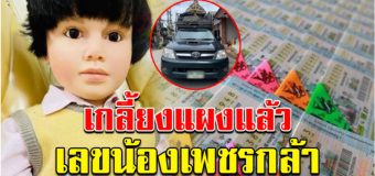 เลขทะเบียนรถ น้องเพชรกล้า งวด 1 สิงหาคม 63 เกลี้ยงแผงแล้ว