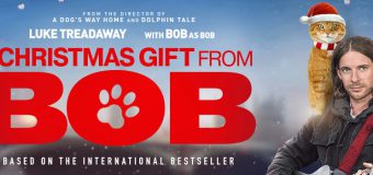 A Gift from Bob ของขวัญจากบ๊อบ