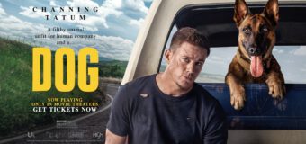 Dog เพื่อนกันพันธุ์ห้าว